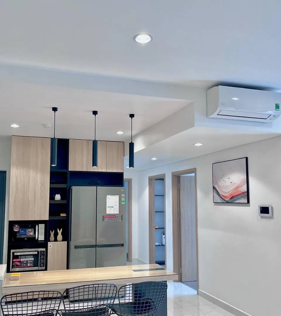 Cho Thue Can Ho 3Pn2Wc 117M2 Diamond Alnata Celadon City Tan Phu Ho Chi Minh City